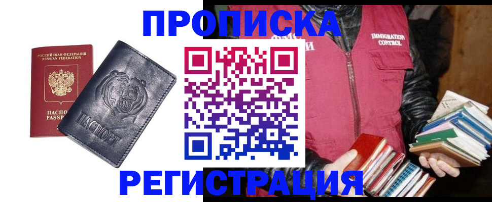 прописка поиск в Березниках